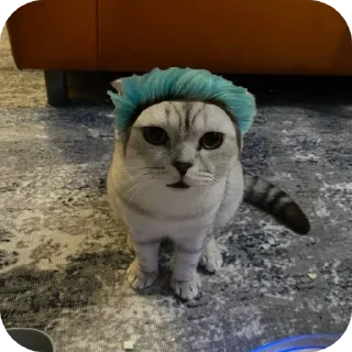 🐱 emoji завертин правит миром Telegram sticker 9 of 24