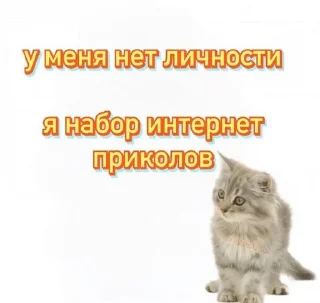 🌟 emoji Великие цитаты и прочая ерунда Telegram sticker 16 of 21