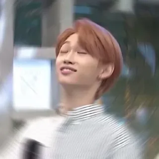 🐾 emoji StrayKids Telegram sticker 16 of 23