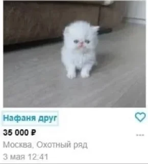 🌟 emoji шайлушай Telegram sticker 6 of 112