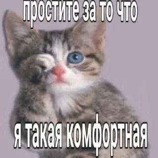 😉 pup, стікер Telegram 8 з 72