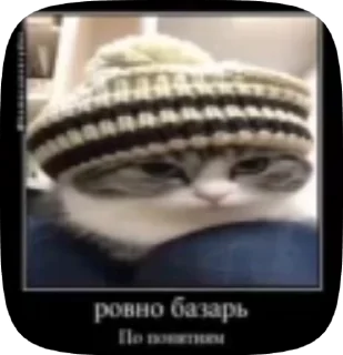 🌟 emoji Пушистый котэ-демотиваторэ Telegram sticker 12 of 33