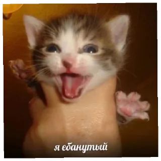 😄 emoji Тысейа минус сэм Telegram sticker 5 of 43