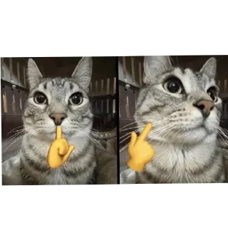 😀 emoji шо це таке Telegram sticker 24 of 37