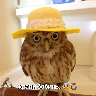 Sticker from СОВА