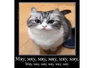 🐈‍⬛ emoji Капец от @mpodosko: часть 4 Telegram sticker 8 of 51