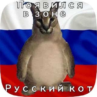 🇷🇺 emoji Шлёпа 2 Telegram sticker 7 of 50