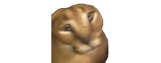 🤪 emoji Шлёпа 2 Telegram sticker 1 of 50