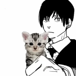 🐈‍⬛️ emoji аки Telegram sticker 13 of 28