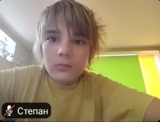 😶 emoji степа в ужасе Telegram sticker 15 of 18