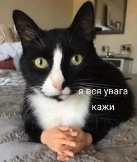 😮 Ukrainian✨memes, Telegram sticker 9 of 64