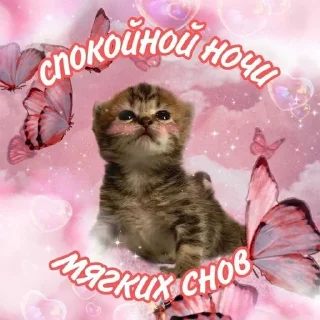 😴 emoji гм гн @qwoly Telegram sticker 14 of 16