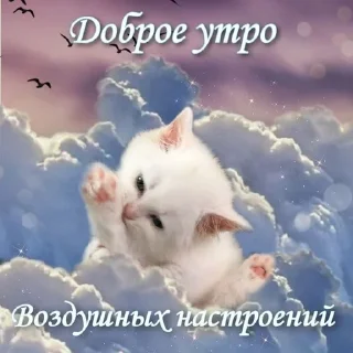😴 emoji гм гн @qwoly Telegram sticker 12 of 16