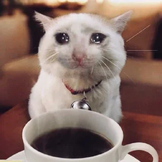 🥺 emoji Коты на каждый день 😼 Telegram sticker 19 of 107