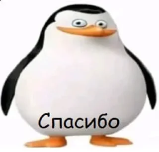🌟 emoji Пингвины @frisky147 Telegram sticker 22 of 114