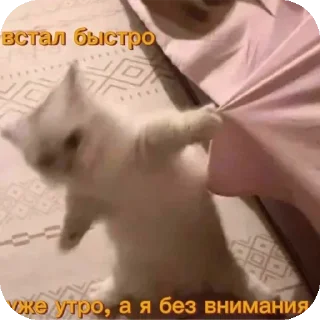 🥰 emoji Сахарочек Telegram sticker 9 of 16