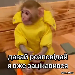 🤓 emoji Вкрав другу мавпу Telegram sticker 20 of 50