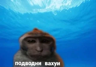😈 emoji вахуи (by emil) Telegram sticker 12 of 45