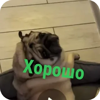 🐶 emoji Да это мопс.👉@Tyomka_Stickers Telegram sticker 16 of 17