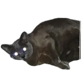 Sticker from Тина и луна две крашки🫶