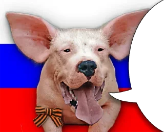 Боевые картиночки