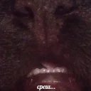 💩 emoji мемы про котов (по ржать) (@meme_drawer) Telegram sticker 1 of 27