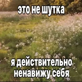 🌟 emoji Тильт Telegram sticker 20 of 22