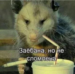 🙊 Настюша, Telegram sticker 24 of 48
