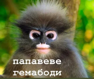 😀 emoji пепапеве гемабоди Telegram sticker 10 of 18