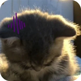 🐱 emoji личный пак дениса Telegram sticker 5 of 10