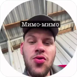 🙅‍♂️ emoji Михалыч на связи 🤙 Telegram sticker 8 of 15