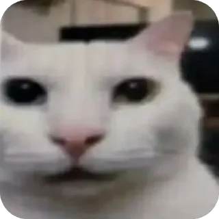 😲 emoji Эу Telegram sticker 18 of 120