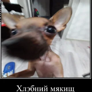 👑 emoji Бебрик Telegram sticker 5 of 9