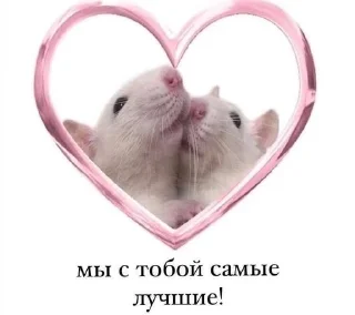 🐭 emoji forlove Telegram sticker 20 of 32