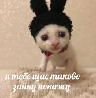 🥺 emoji личные стикеры (кама)убачатозник Telegram sticker 18 of 33