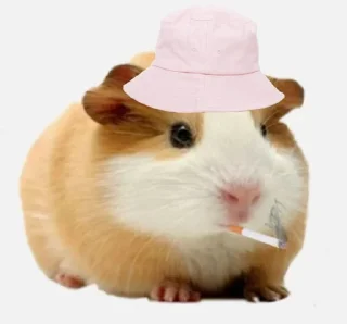 🐹 emoji ХоМяЧиЙ дВиЖ @soundsfromthevagina Telegram sticker 6 of 45