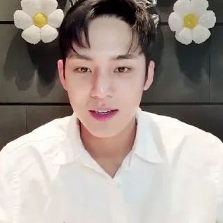 Sticker from mingyu @svtwe