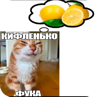 🐱 emoji DIY с уретрой Telegram sticker 19 of 24