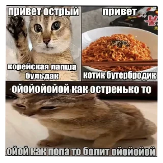 🐱 emoji DIY с уретрой Telegram sticker 9 of 24