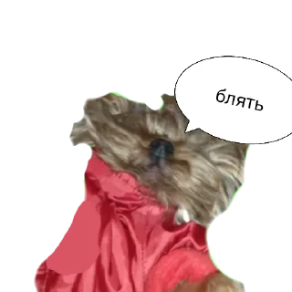Sticker from дин 18+