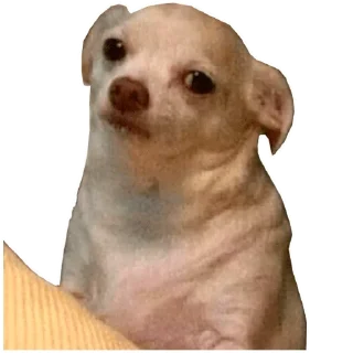 😕 emoji Meme Big Pack by @Jumor1st Telegram sticker 15 of 69