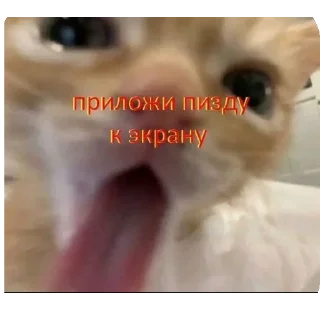 👍 Пак от Andromeda, Telegram sticker 24 of 111