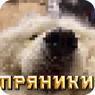 Sticker from ПРЯНИКИ ( @kazinopvz ) • @sticbot