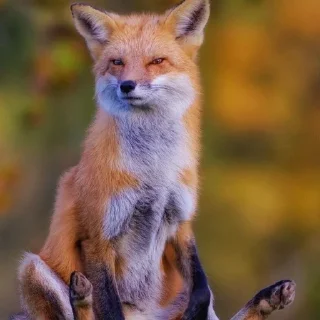 😒 emoji Не мы такие жизнь такая Telegram sticker 22 of 28