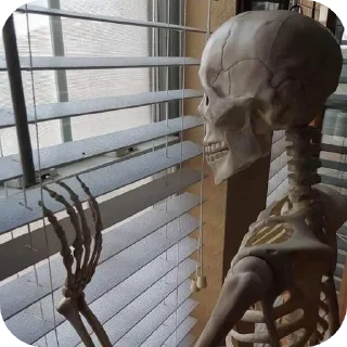 💀 emoji Cool skeletons Telegram sticker 11 of 46