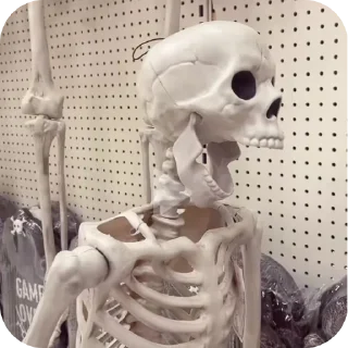 Sticker from Cool skeletons