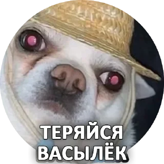 Sticker from @TVstickers Sorry