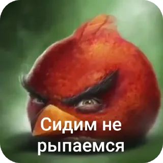 🐦 emoji Злые птички Telegram sticker 10 of 18