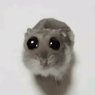 🌟 emoji собственность Роксаны Telegram sticker 12 of 74