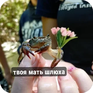 🌟 emoji уменяедеткрыша Telegram sticker 6 of 12